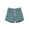 Maestrale Celeste/verde Swim Shorts