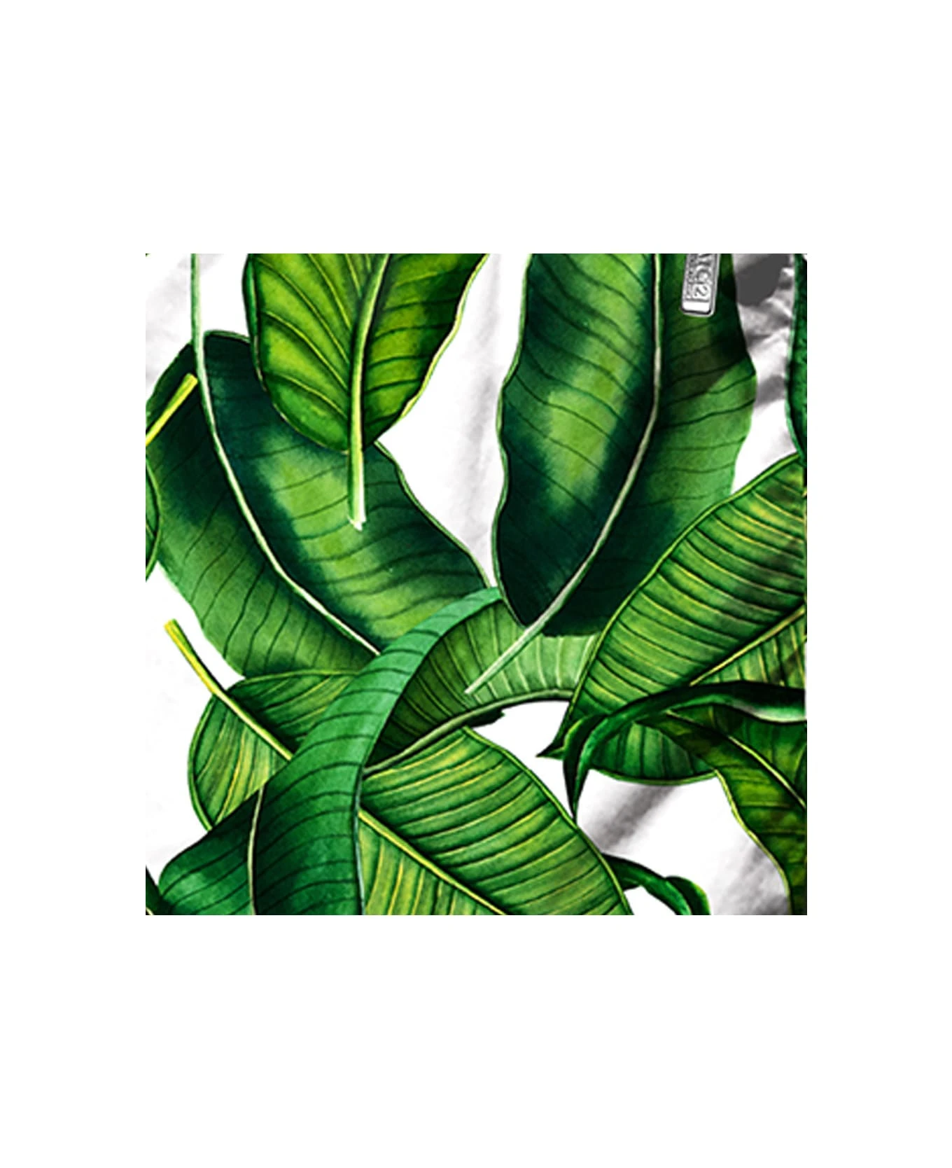 MC2 Saint Barth Banana Leaves Print Mid-length Swim Shorts - Image 3