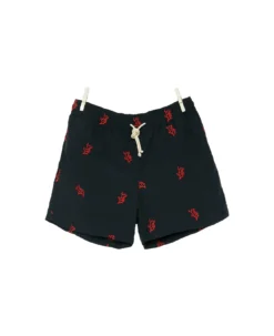 Positano Embroidered Swim Shorts